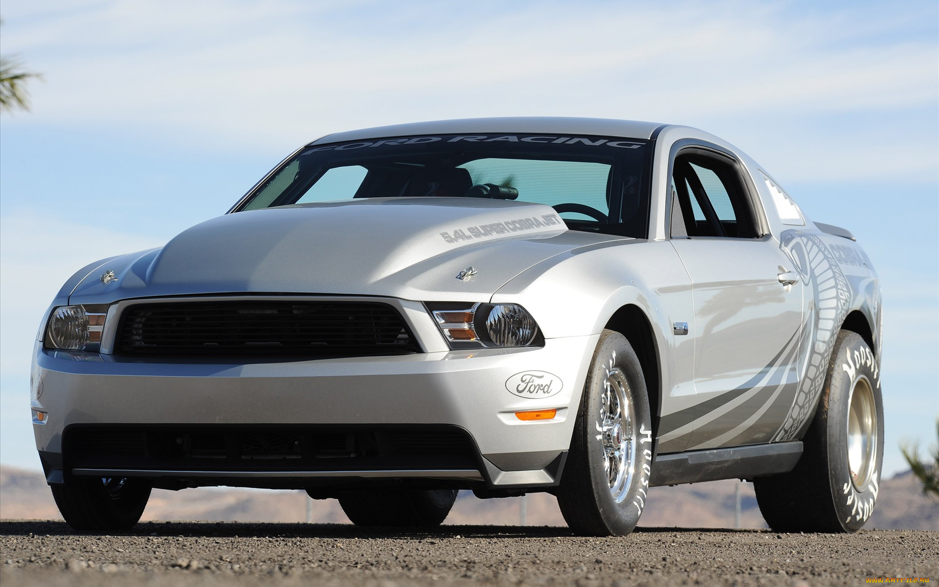 , mustang